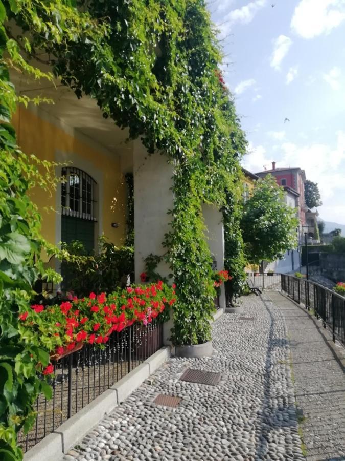 Viewtiful Homestay Stazzona Buitenkant foto