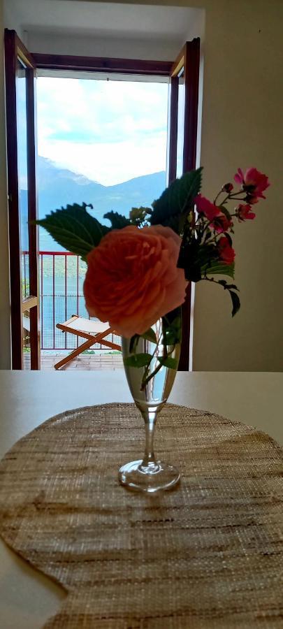 Viewtiful Homestay Stazzona Buitenkant foto